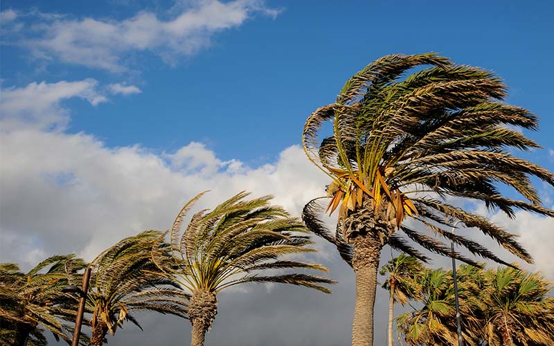 Metal Roofs Perform Well in High Wind