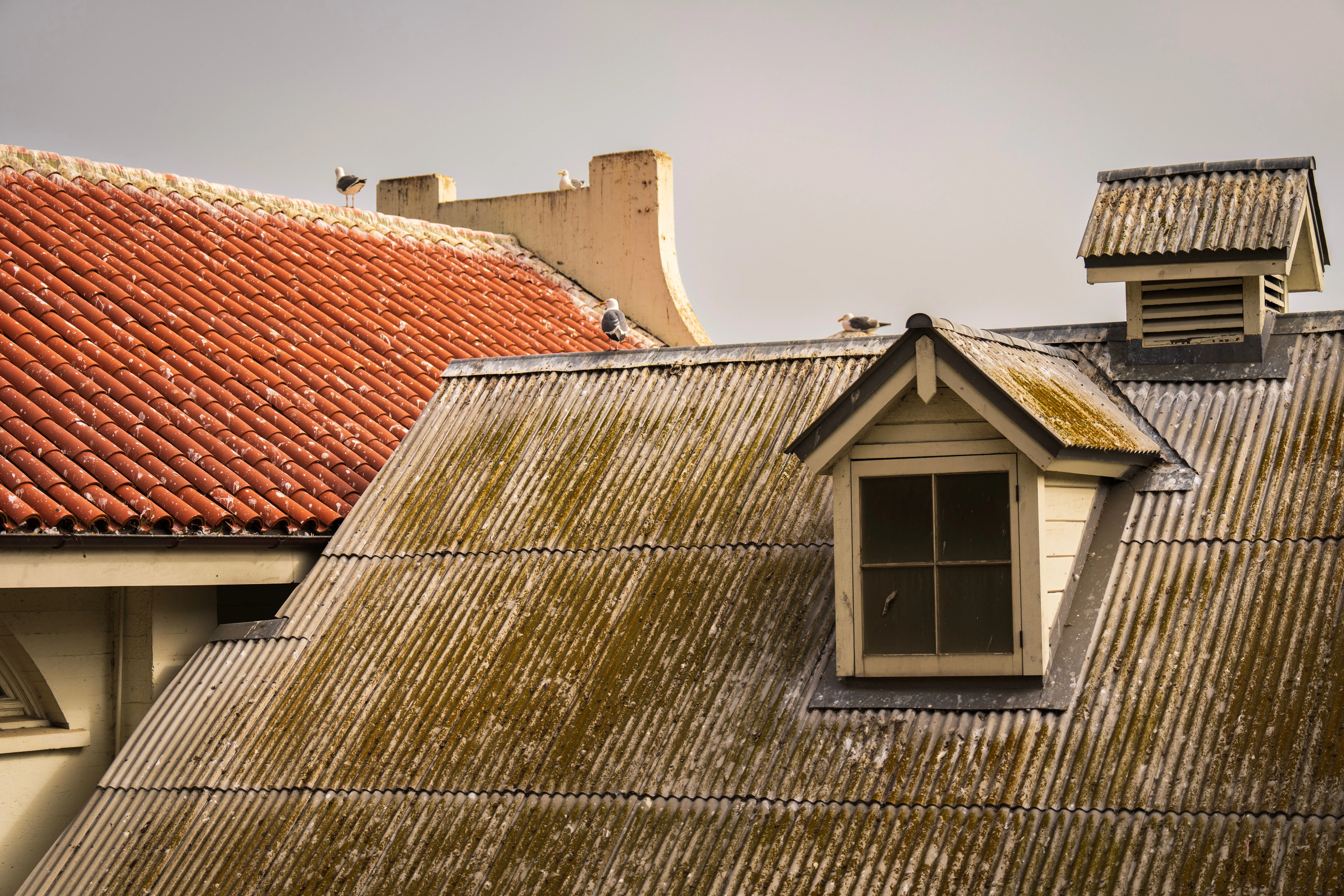 Difference Between Metal Roof vs Shingles