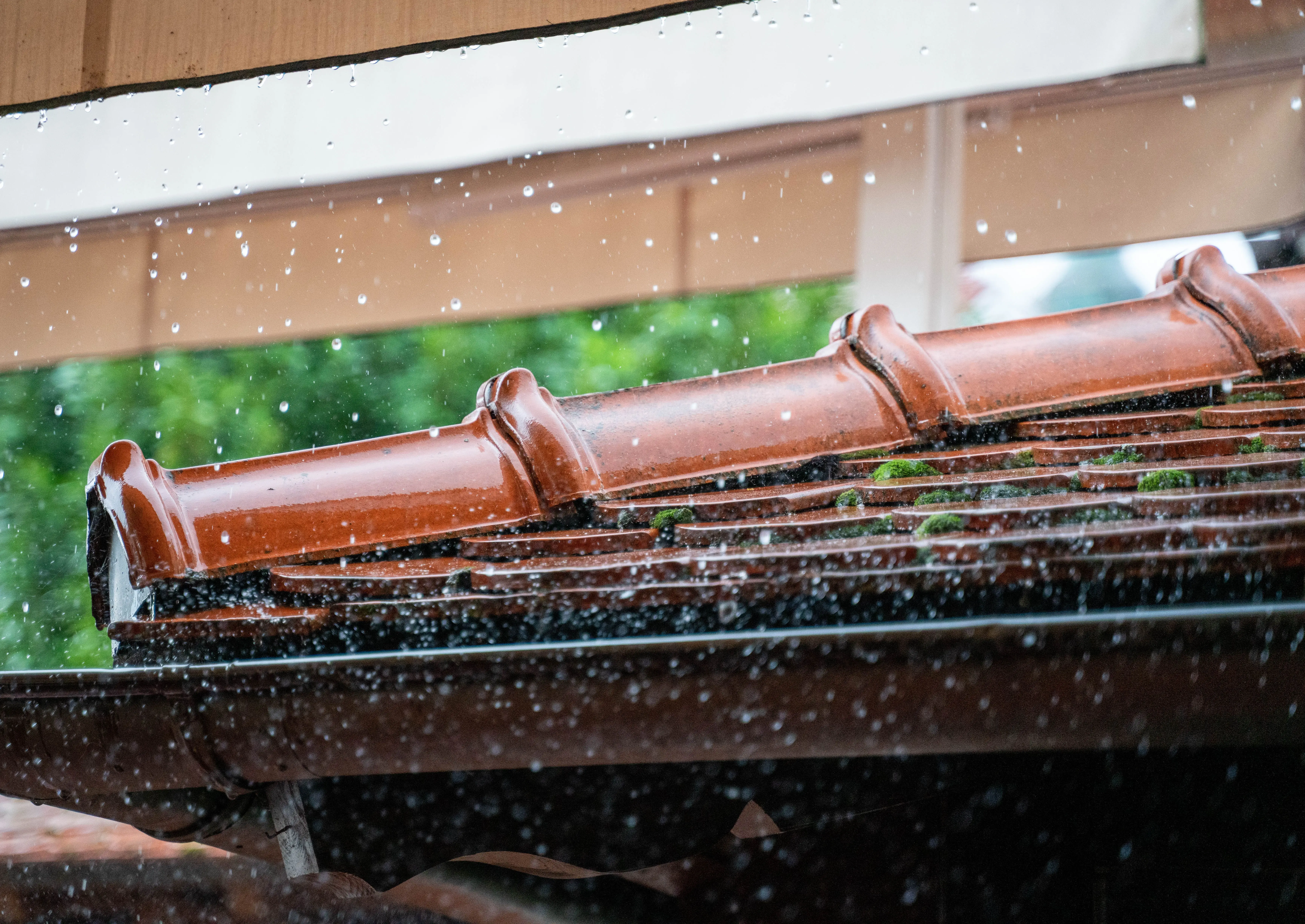 Why It's Important to Invest in a Rainwater Gutter System? Protection, Pros & Cons, How To Install