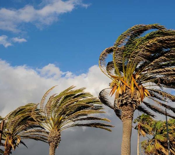 Metal roof performing in high wind and hurricane weather